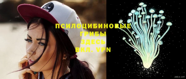 mix Алексин