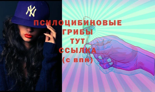 метадон Алзамай
